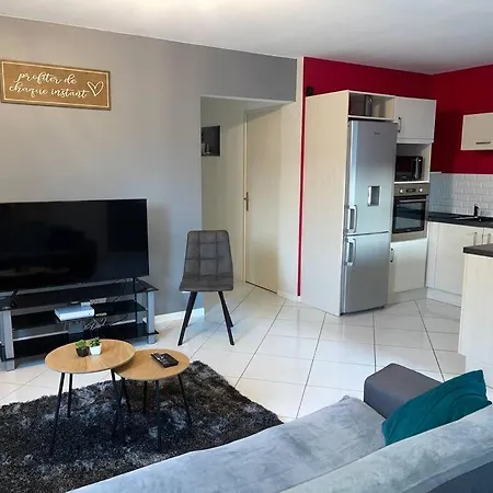 Plein Centre St Dié Des Vosges *