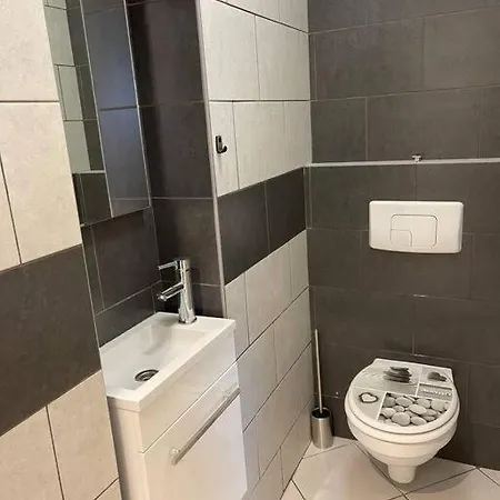 Plein Centre St Dié Des Vosges Appartement *