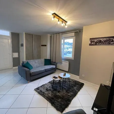 Plein Centre St Dié Des Vosges Appartement *