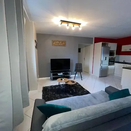 Plein Centre St Dié Des Vosges Appartement Saint-Die-des-Vosges