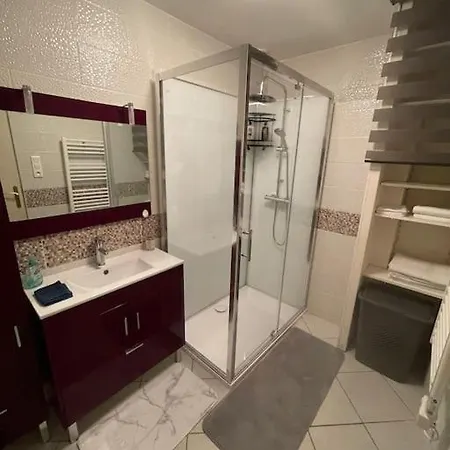 Appartement Plein Centre St Dié Des Vosges Saint-Die-des-Vosges